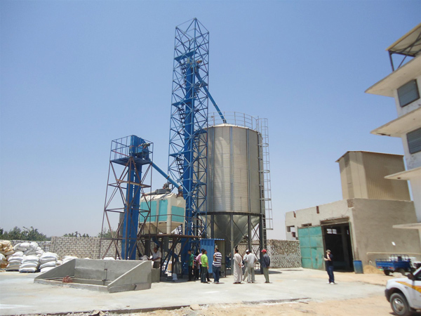 Egypt 1 * 200t corn warehouse