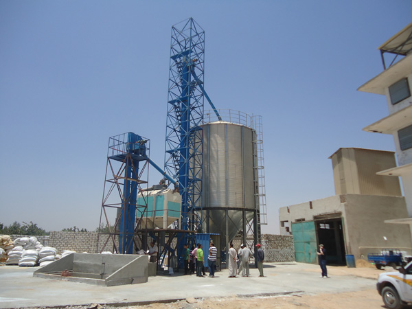Egypt Construction