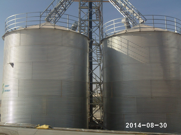 Saudi 2-200T corn warehouse