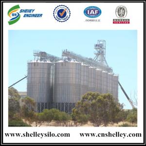 Hot sale hopper bottom steel grain silo for grain storage