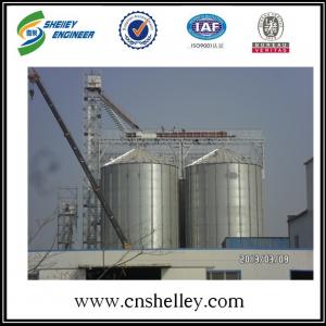 High safety cone bottom 800t steel farm wheat silo