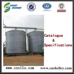 Catalogue of Flat Bottom Silo