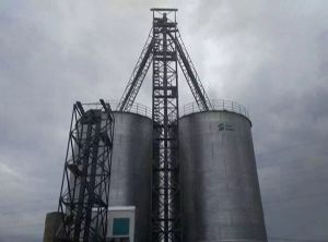 TSE SILO JUST FINISHED A NEW SILO PROJECT 1000T SILO FOR CORN IN CANGO,AFRICA