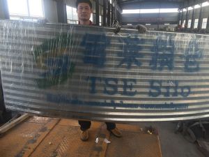 TSE grain silo , oversea project