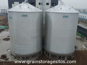 1 bucket elevator shared for 2 sets 3000T flat bottom galvanized grain silos