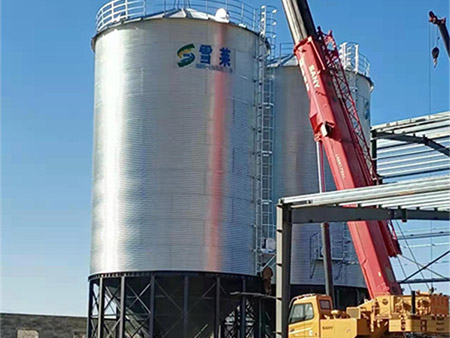 2-500T corn storage silos and 1-100T soybeans meal storage silo project has been